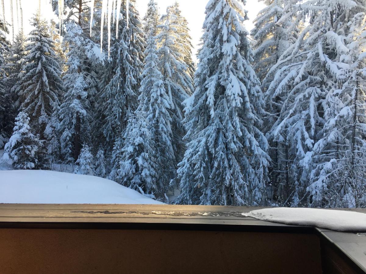 Borovets Chalets Exteriér fotografie