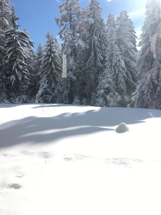 Borovets Chalets Exteriér fotografie