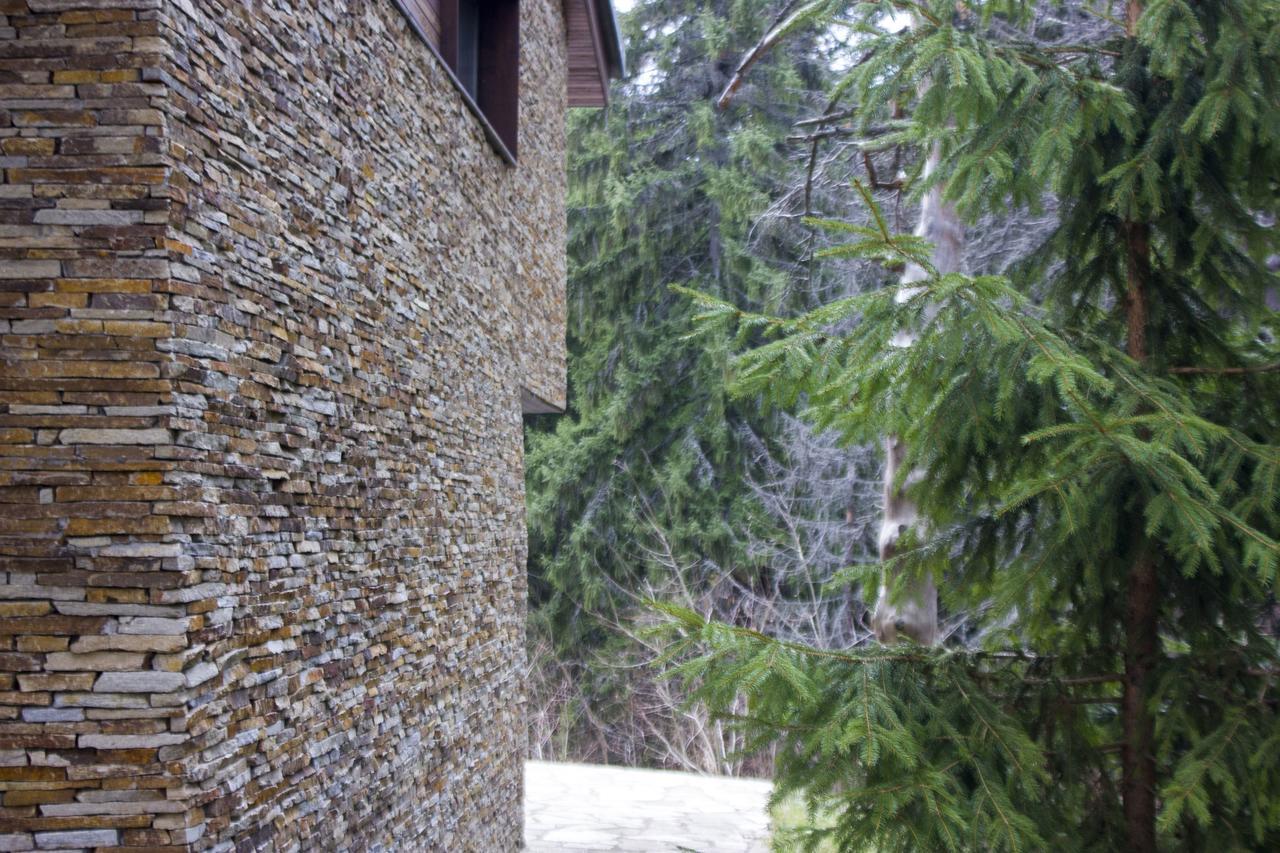 Borovets Chalets Exteriér fotografie
