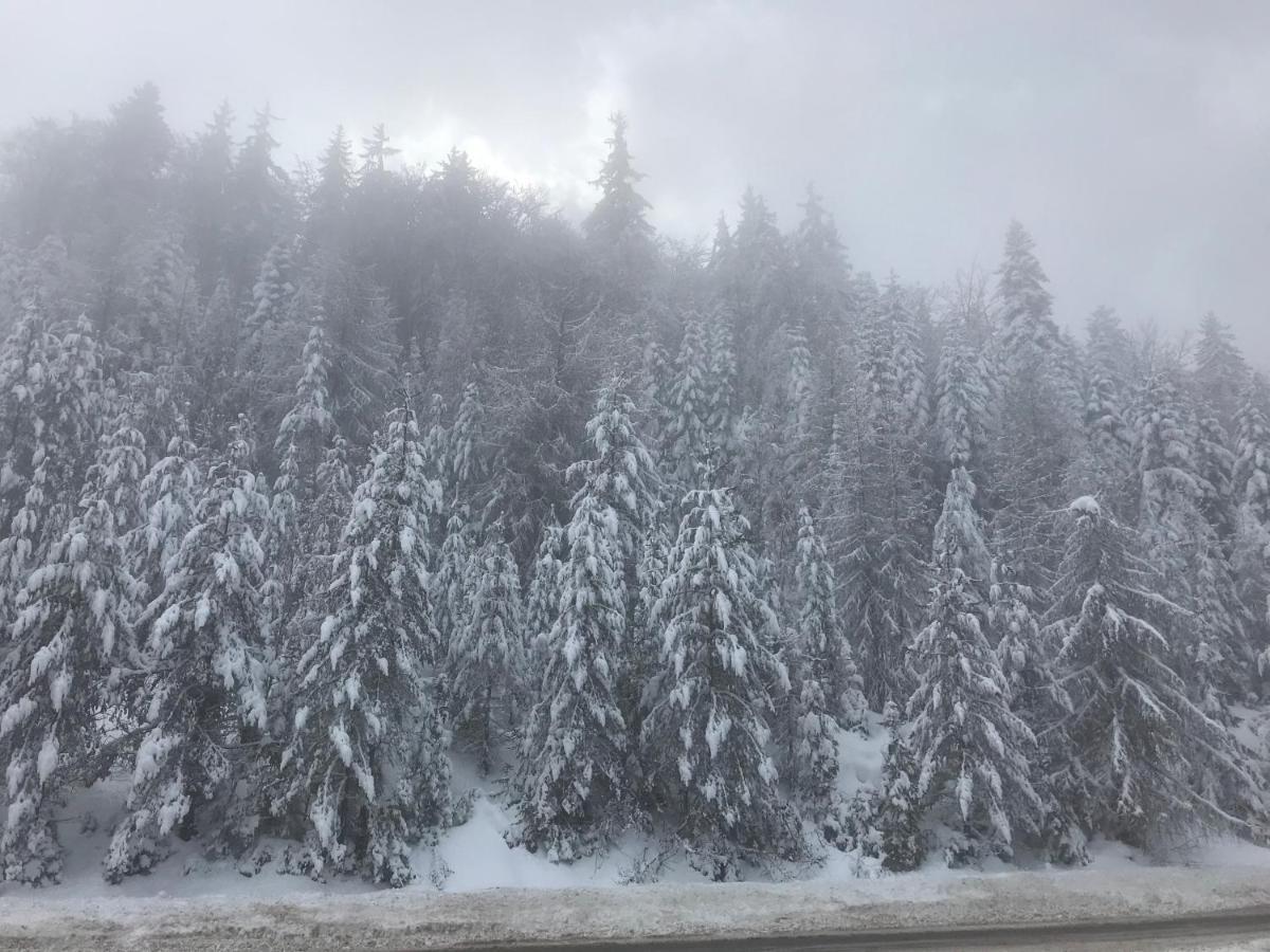 Borovets Chalets Exteriér fotografie