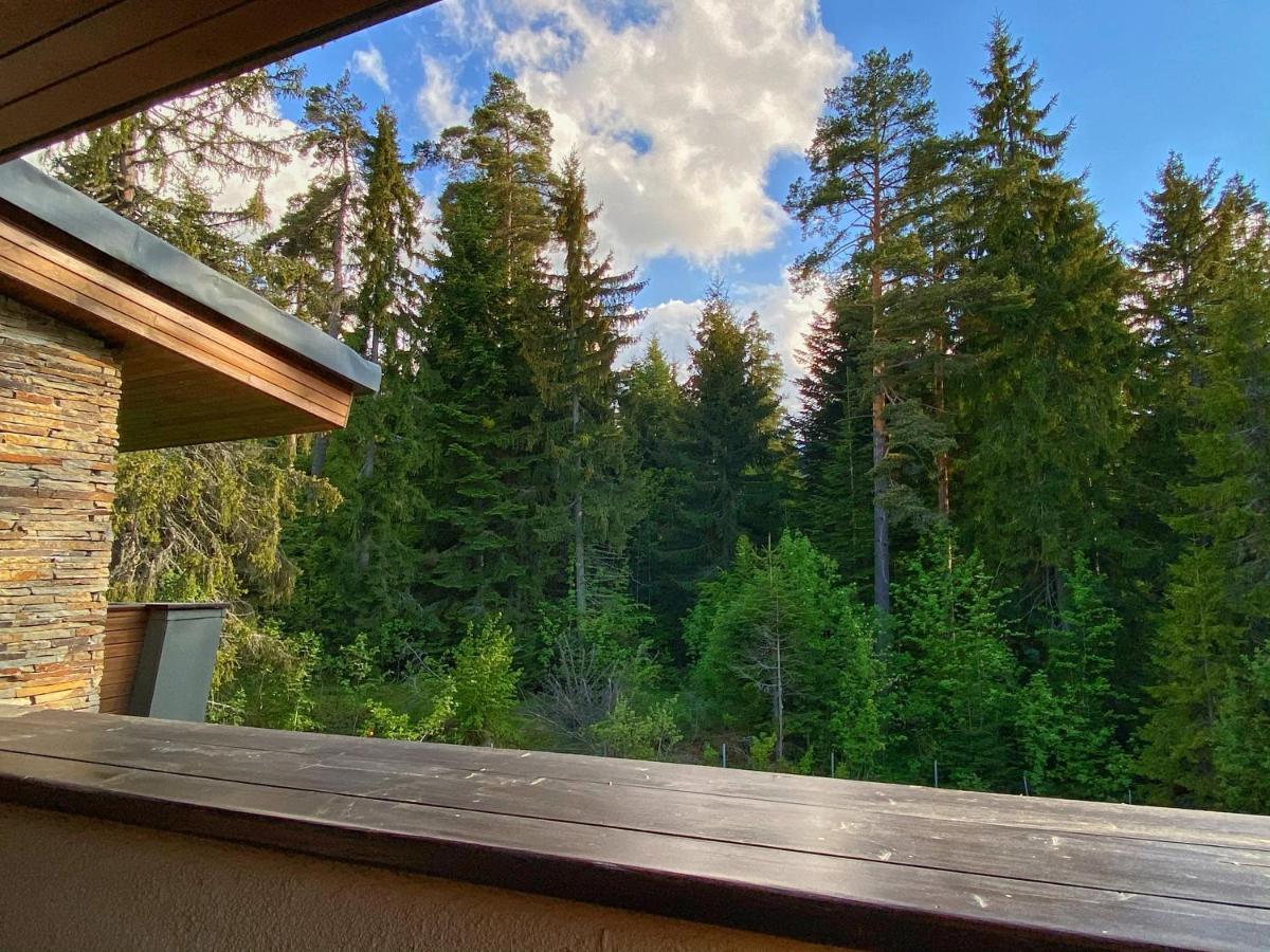 Borovets Chalets Exteriér fotografie